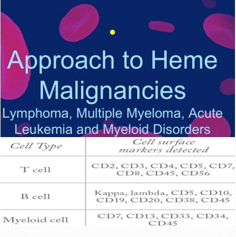 Hematological Malignancies