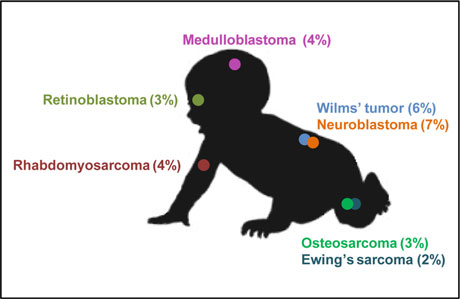 Pediatric Oncology 